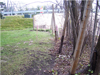 Fence Gallery Photo - Fence Removal.jpg